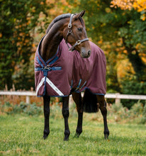 Laden Sie das Bild in den Galerie-Viewer, Horseware Amigo 1200D Plus 100g