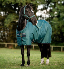 Laden Sie das Bild in den Galerie-Viewer, Horseware Amigo 900 Plus 50g