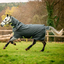 Laden Sie das Bild in den Galerie-Viewer, HORSEWARE AMIGO Hero 900D / PLUS/ 100g