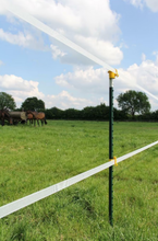 Laden Sie das Bild in den Galerie-Viewer, Metallpfahl T-Post - 1,82m