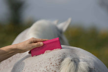 Laden Sie das Bild in den Galerie-Viewer, Fellschön Bürste *NEU*