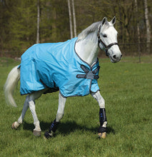 Laden Sie das Bild in den Galerie-Viewer, HORSEWARE AMIGO Hero 900D /100g