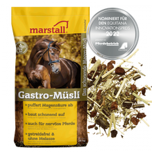 Laden Sie das Bild in den Galerie-Viewer, Marstall Gastro Müsli - 20 kg