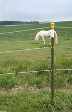 Laden Sie das Bild in den Galerie-Viewer, Metallpfahl T-Post - 1,82m