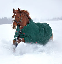 Laden Sie das Bild in den Galerie-Viewer, HORSEWARE Rambo Original L/A 200g SALE