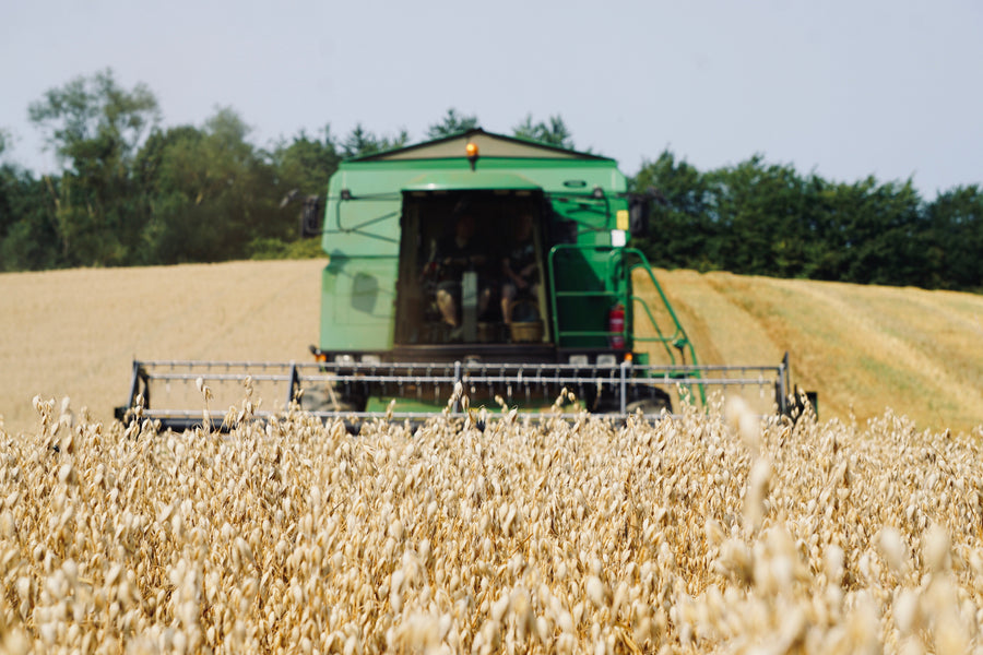 Erntezeit - vom Feld in den Futtersack