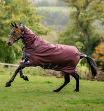 Laden Sie das Bild in den Galerie-Viewer, Horseware Amigo 1200D Plus 100g
