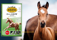 HAVENS Opti Grow - 25kg
