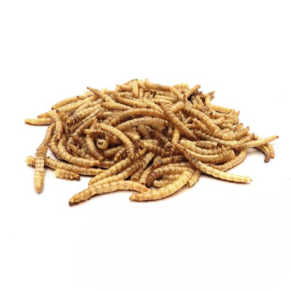Mehlwürmer 850g – Raisdorfer Mühle