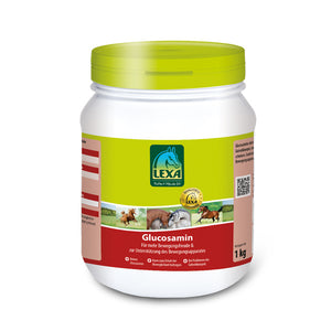 LEXA Glucosamin - 1kg