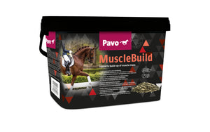 PAVO MuscleBuild - 3kg