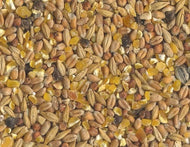 HAVENS Scharrel Gran - 25kg