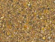 HAVENS Scharrel NG - 25kg