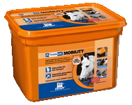 DERBY Horselyx - 50kg